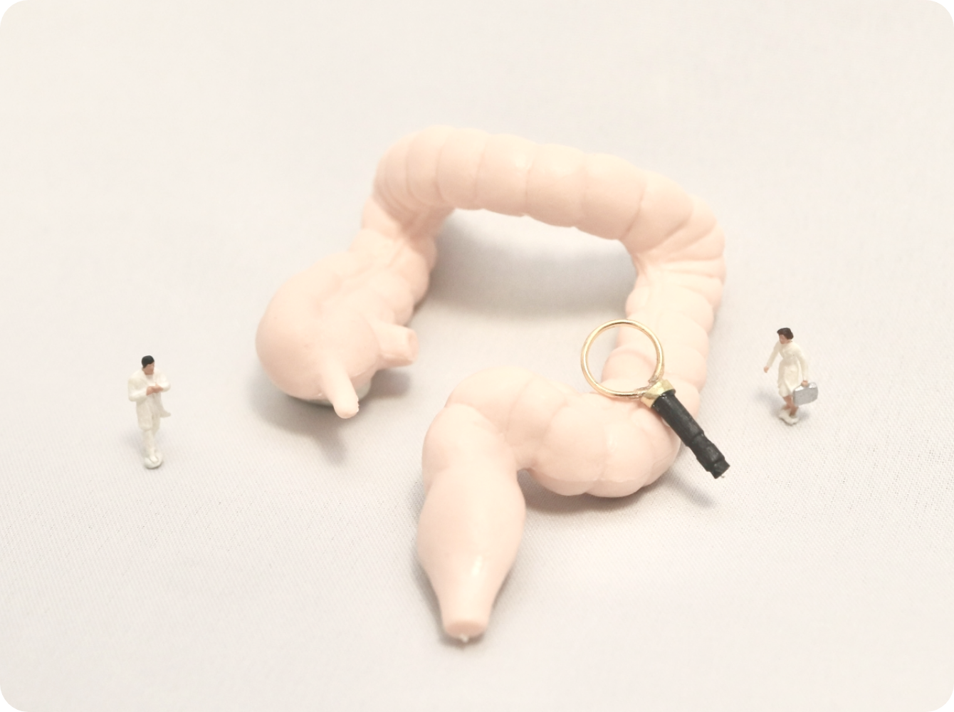 大腸カメラ検査